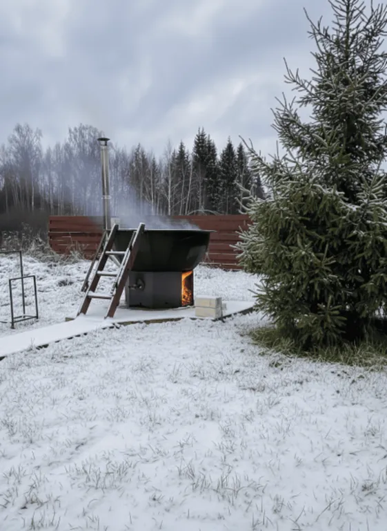 Барский дом