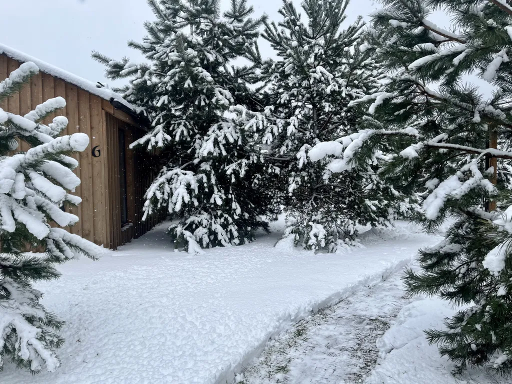 Уютный коттедж в лесу у пруда