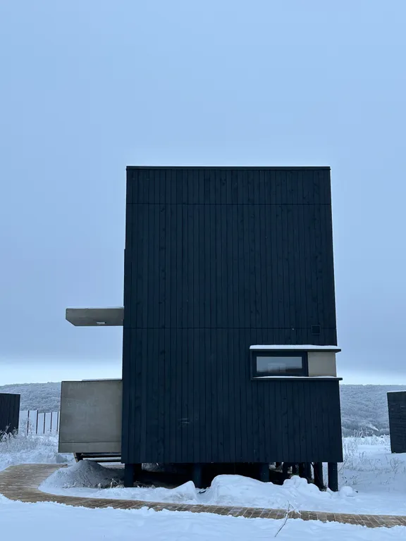 Сканди-дача №2