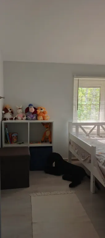 Дом с котом