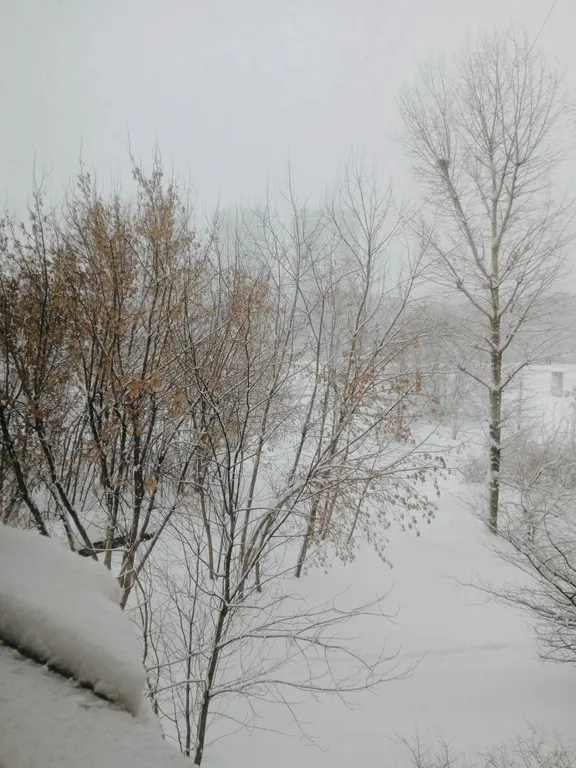 Чистая квартира у метро