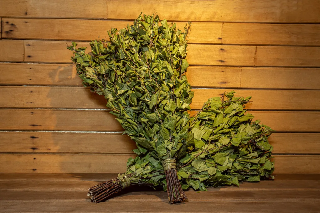 Мини-дом с русской баней