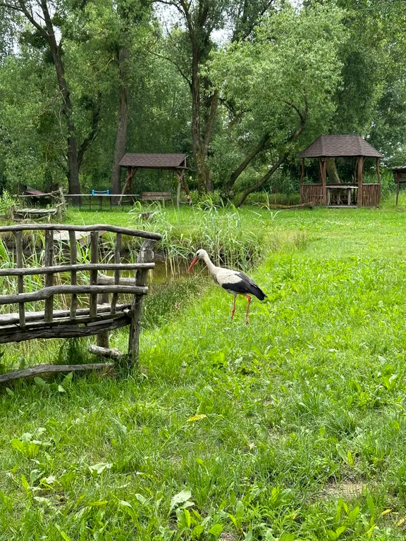 Тихое и комфортное место на берегу реки Лесная