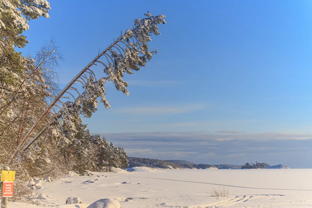 Дом Брусника у Ладоги