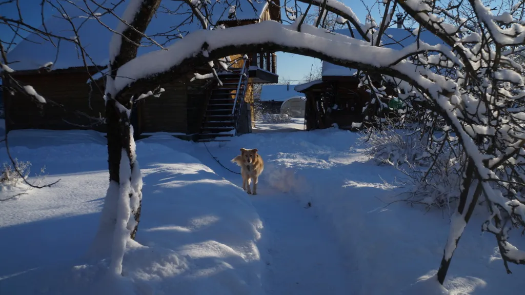 4-комнатный Дом