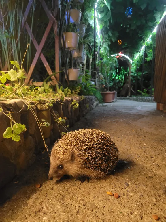 Апартамент Лазурный залив с видом на море 3 этаж