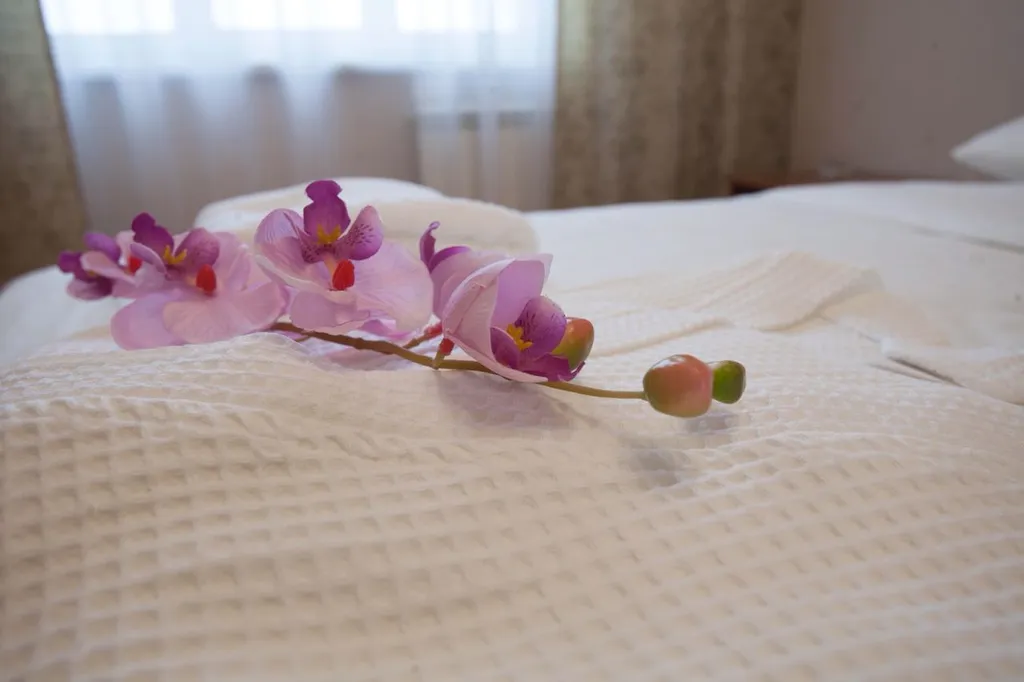 Люкс у Планеты