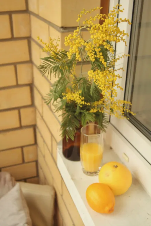 Квартира 1-комнатная уютная около ТЦ Красный кит