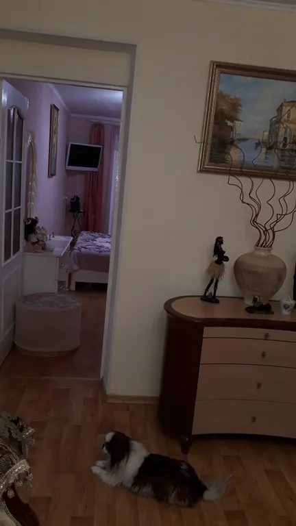 Трехкомнатная квартира в лучшем районе города