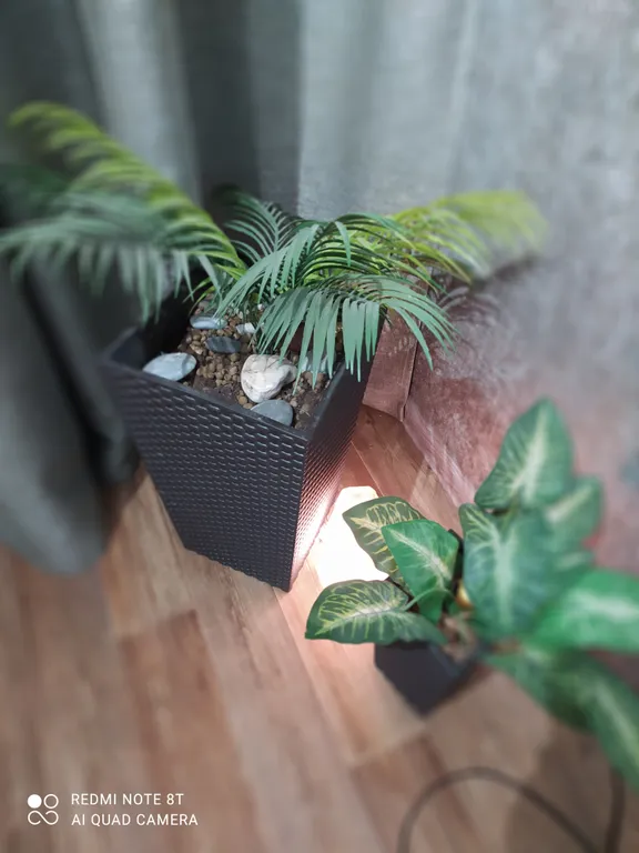 Уютные апартаменты