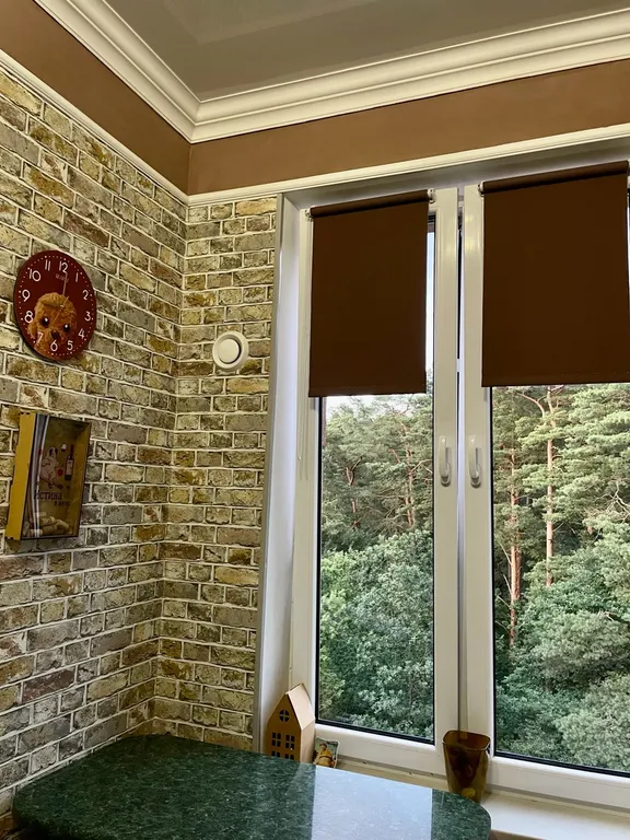 Квартира с видом на озеро и лес — аренда посуточно в Светлогорск