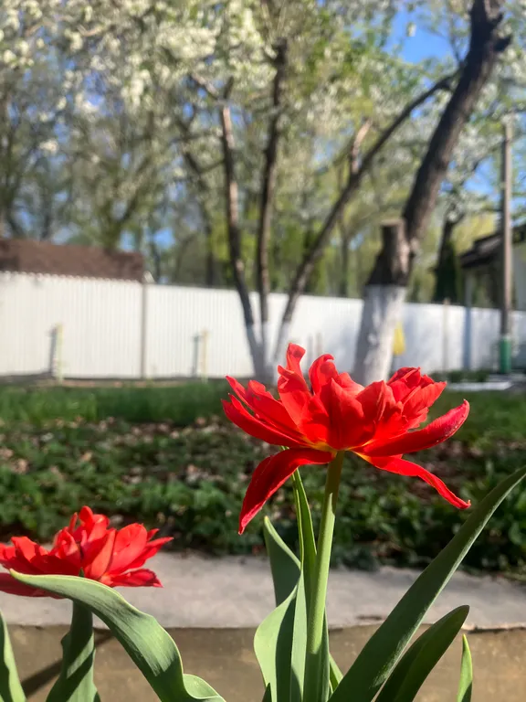 Трёхэтажный коттедж с сауной и бассейном в тихом заливе волги