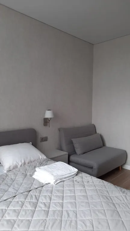 Квартира 1-комнатная Квартира — Светлогорск