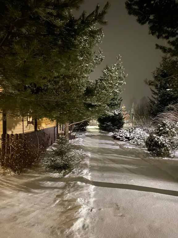 Дом для отдыха с камином, баней, оформлением к празднику