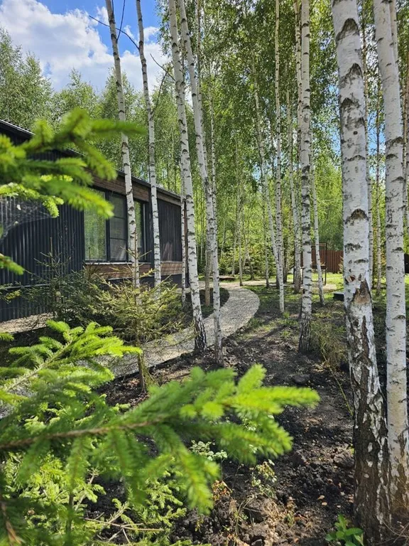 Дизайнерский панорамный дом с сауной в хвойном лесу