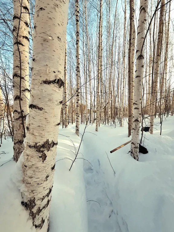 Баня дом на заливе