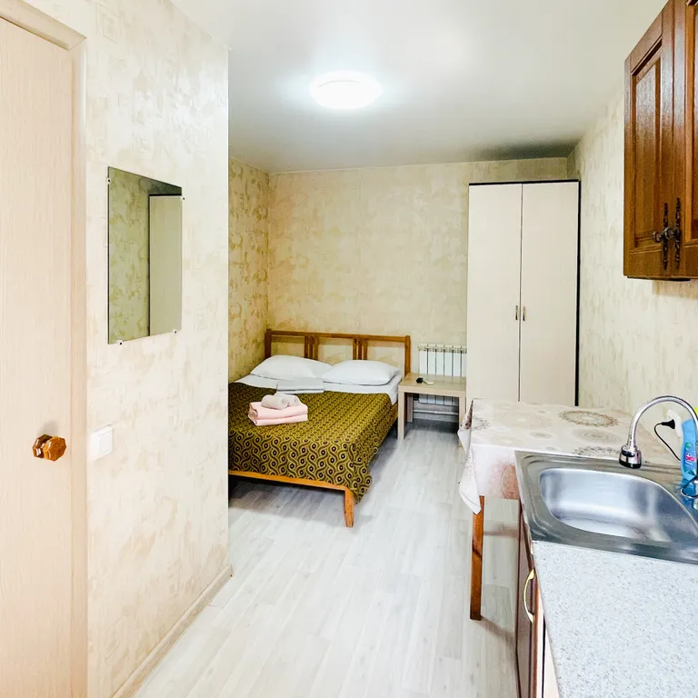 Квартира - студия