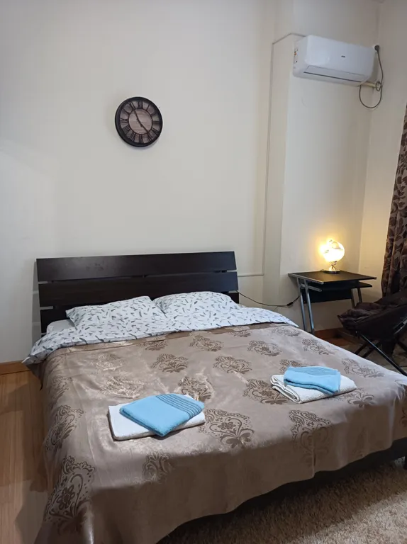 Однокомнатный номер в мини-отеле у Этнографического музея