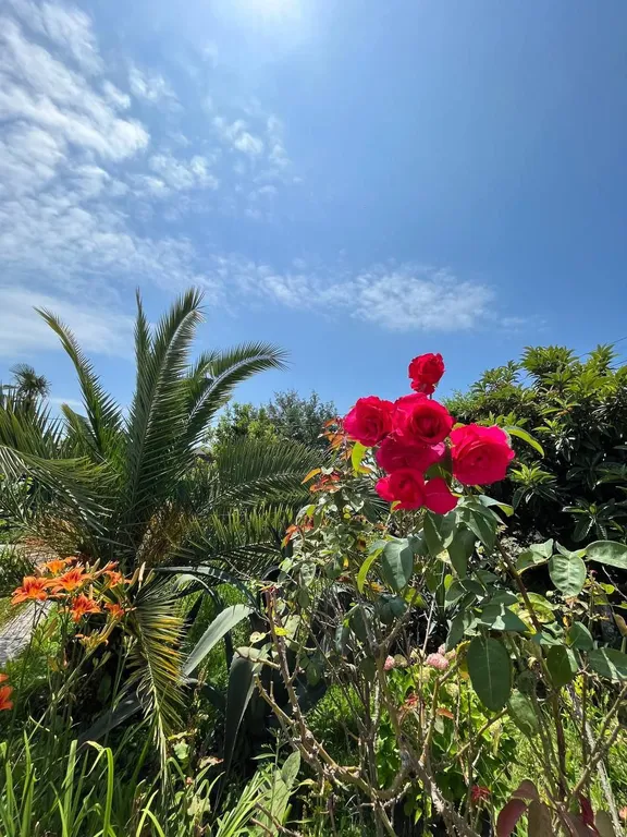 Новая студия в 4 минутах от моря