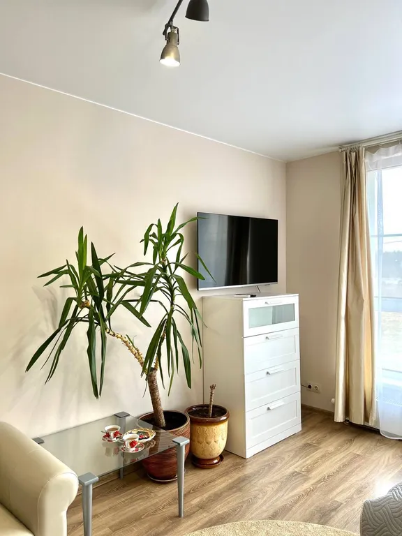 Просторная студия Африка