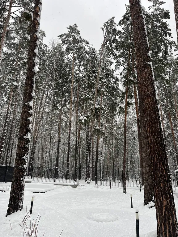 Гостевая часть дома в сосновом бору у реки