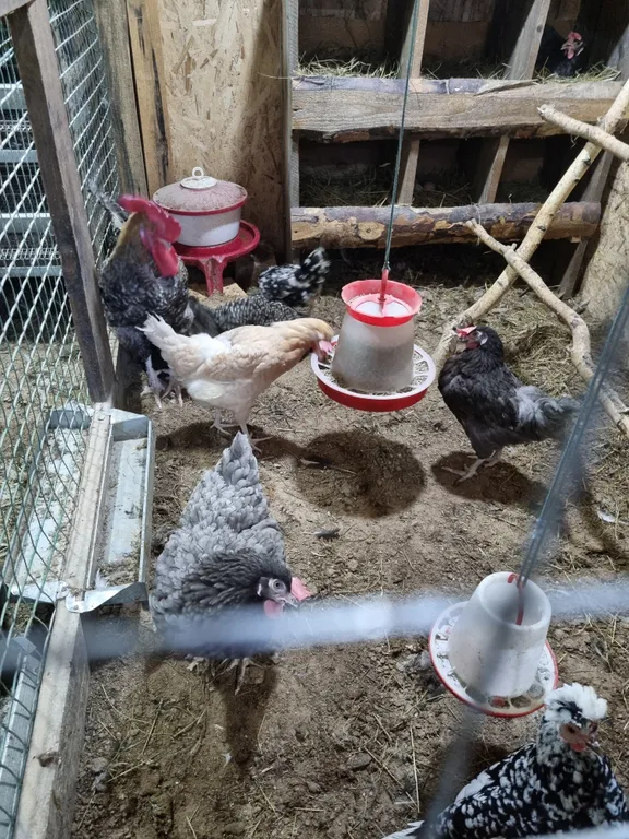 Усадьба в Соколова