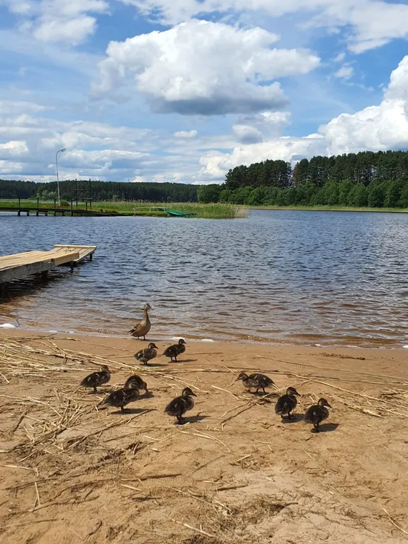 Лучшее место на Селигере