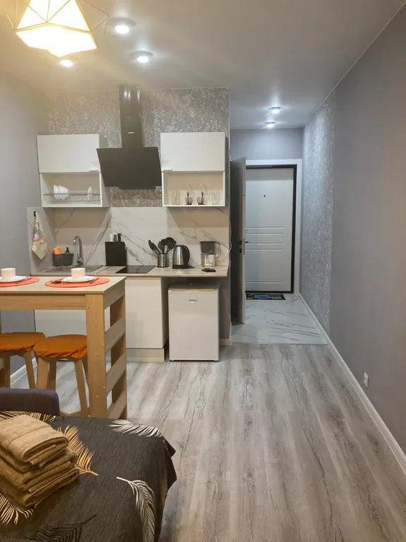 Апартамент с видом на город