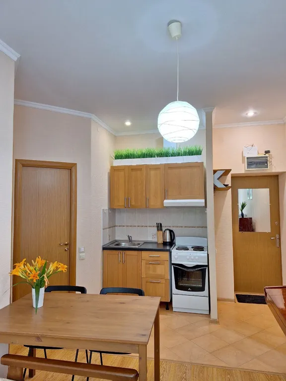 1-комнатная квартира на чёрном море