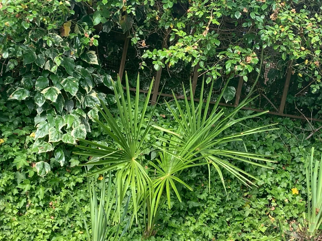 Коттедж Коттедж Голицино — Сочи