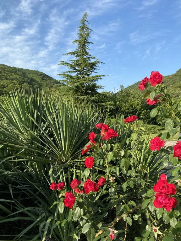 4-комнатный Дом