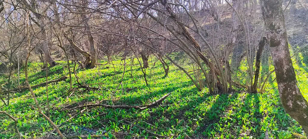 Коттедж Загородный дом с бассейном Family home — Лабинск