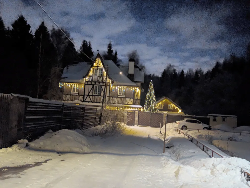 Большой красивый дом с камином в лесу