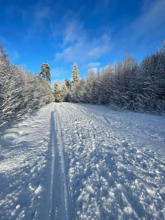 Уютный дом с сауной