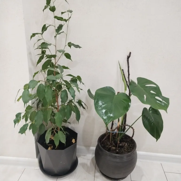 Квартира Квартира на Лаврова, М4-Дон, аэропорт — Краснодар