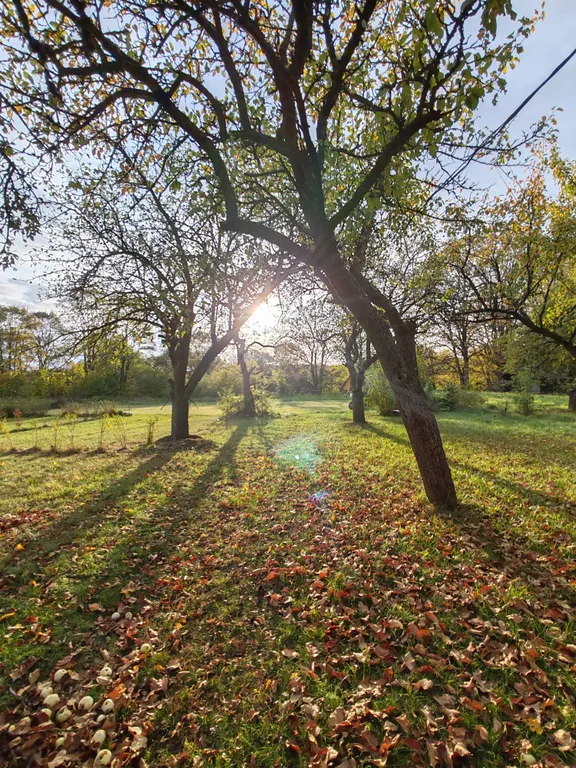 Дом на берегу реки