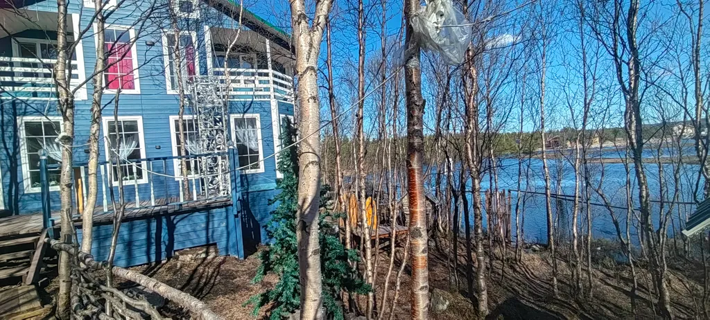 Уютный дом у Светланы Алешиной