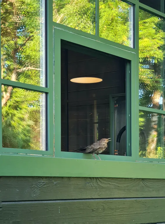 Загородная усадьба