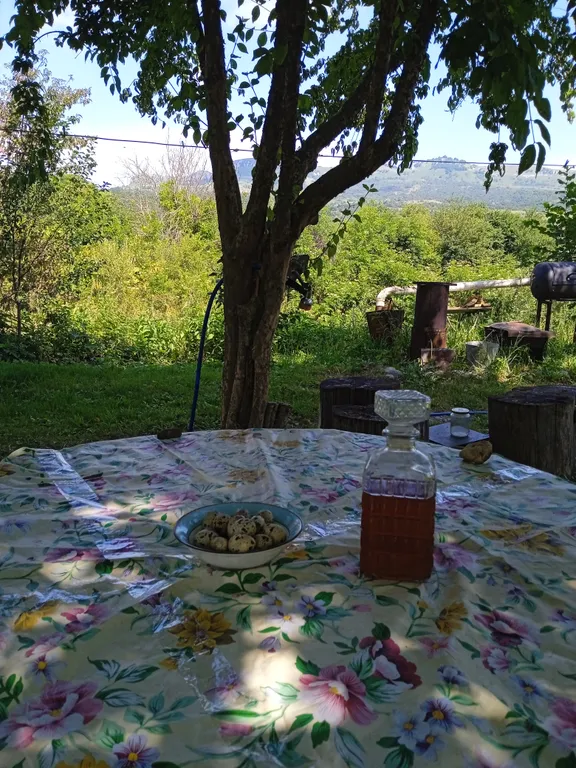 Номер в гостевом доме