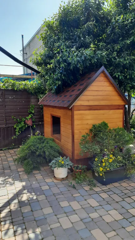 Студия со своей кухней