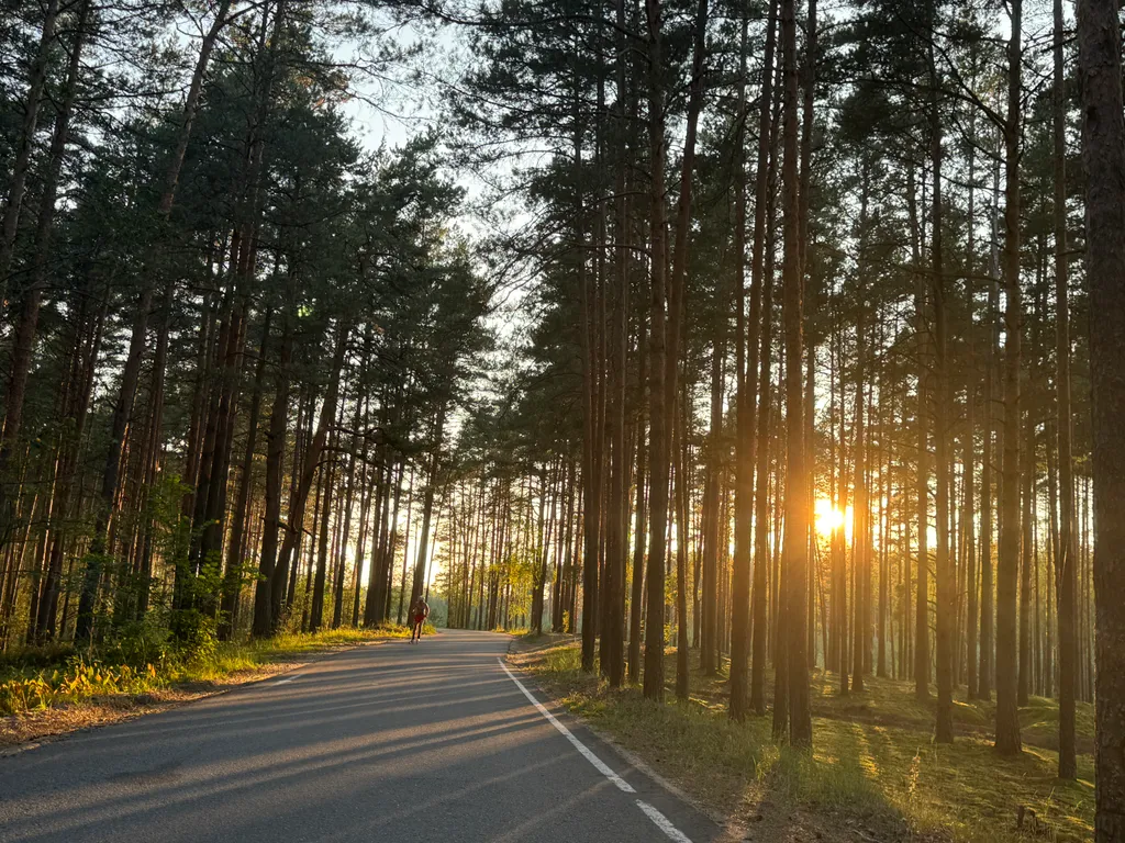 Уютный Дом с Камином в сосновом лесу 15 мин от Твери и 50 мин от МКАДа