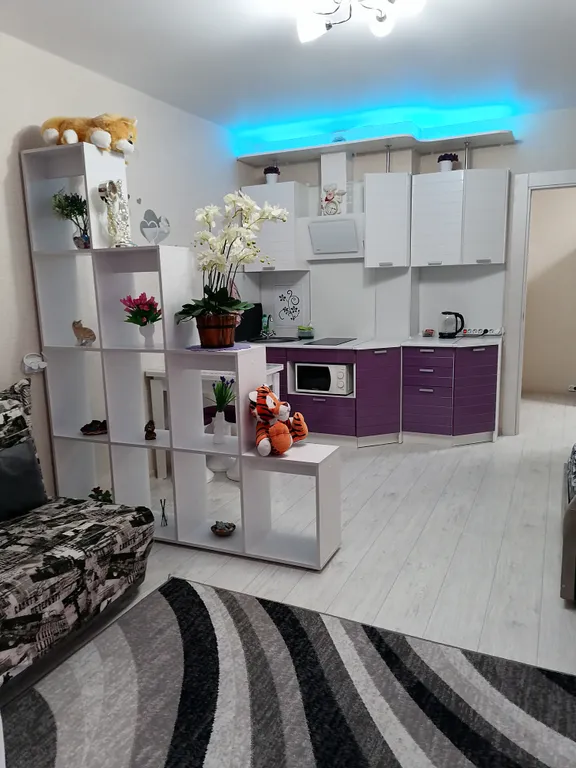 Уютная квартира студия около парка Галицкого и стадиона Краснодар