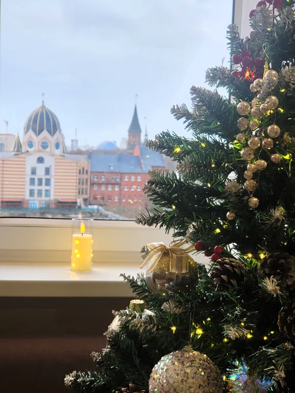 Стильные видовые апартаменты в самом сердце Калининграда