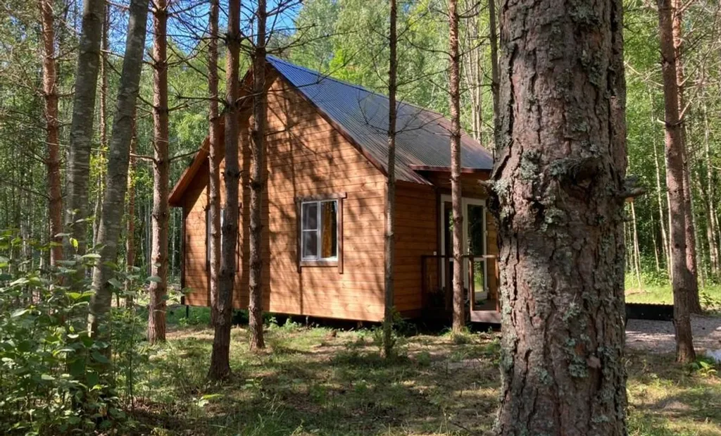Коттедж Уютный домик в лесу №5 с двумя спальнями — Кутузовское