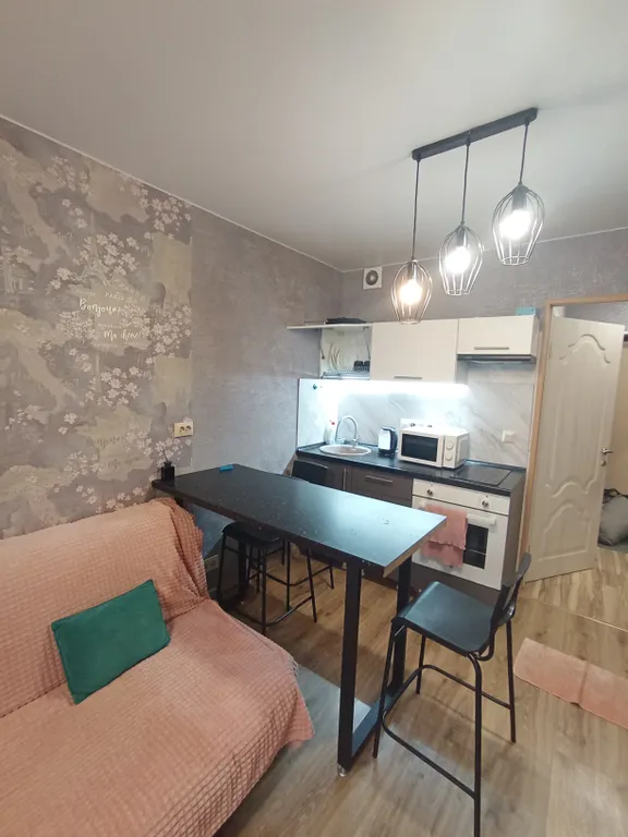 Уютная студия в экологически чистом районе города