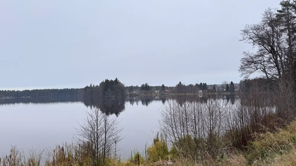 Коттедж Эко-дом у озера: отдых вдали от суеты — Лебяжье