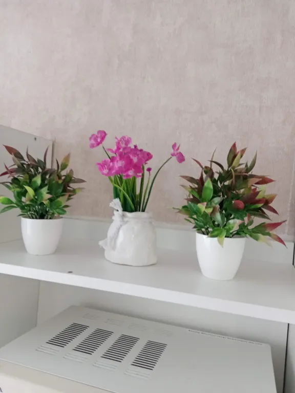 Уютная студия в новостройке