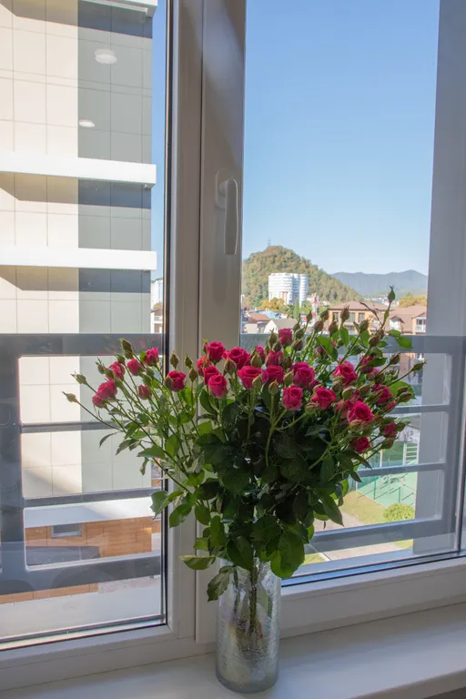 Уютные апартаменты на берегу моря