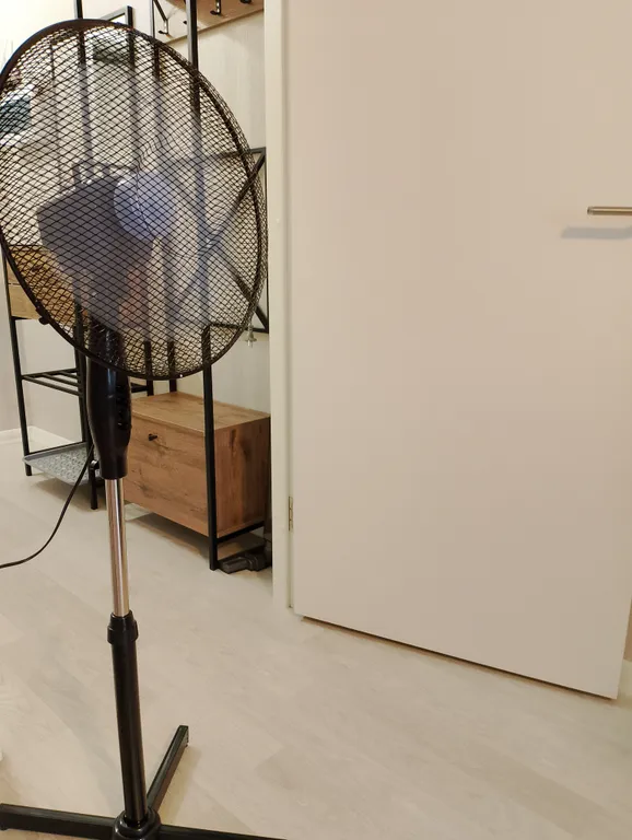 Luxury studio