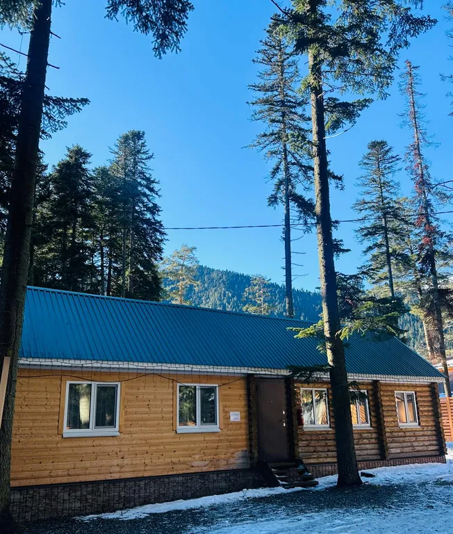 Улучшенный коттедж в Архызе — аренда посуточно в Архыз